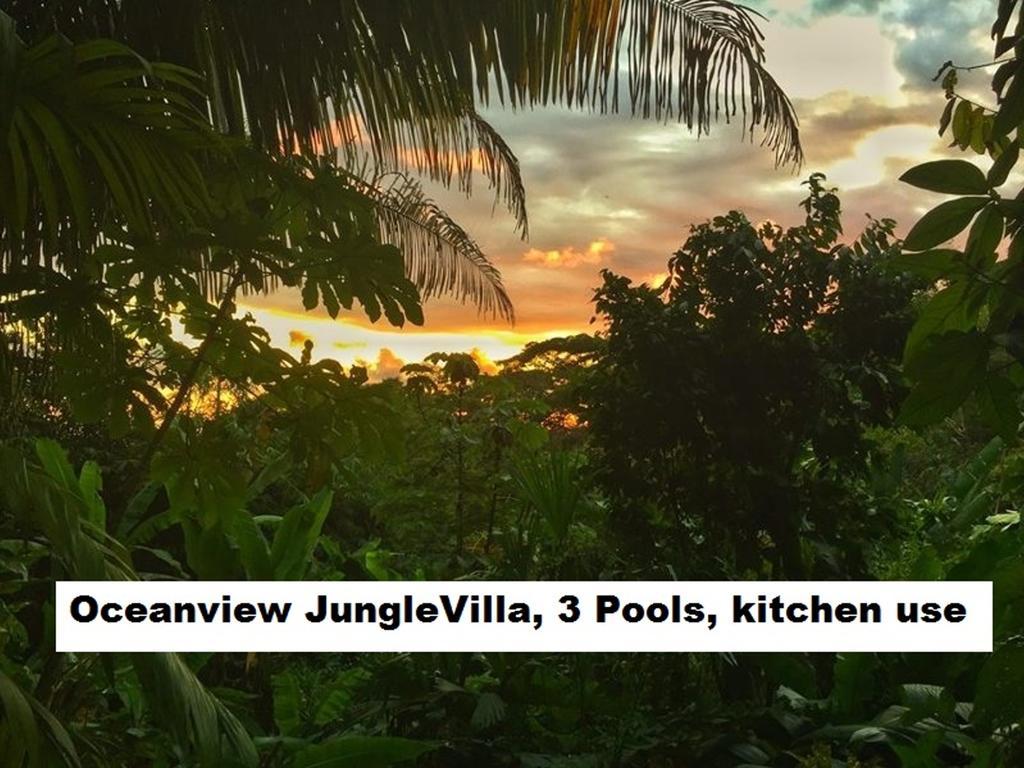 Jungle Villa マヌエル・アントニオ エクステリア 写真